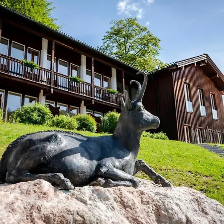 Berghotel Sudelfeld 3* Bayrischzell